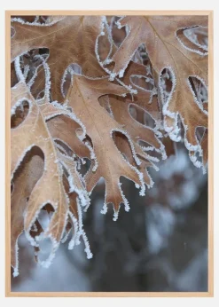 Frosty Leafs Plakat (21x29.7 cm (A4))