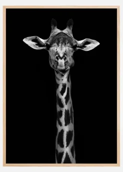 Giraffe Portrait Plakat (21x29.7 cm (A4))