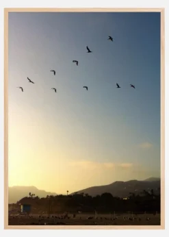 Goodbye Birds Plakat (21x29.7 cm (A4))