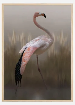 Grace Plakat (21x29.7 cm (A4))