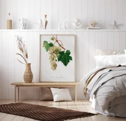 Grapes I Plakat (21x29.7 cm (A4))