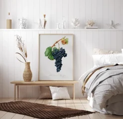 Grapes Plakat (21x29.7 cm (A4))