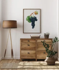 Grapes Plakat (21x29.7 cm (A4))