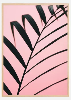 Graphic palm leaf Plakat (21x29.7 cm (A4))