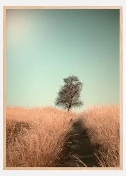 Grass And Path Plakat (21x29.7 cm (A4))