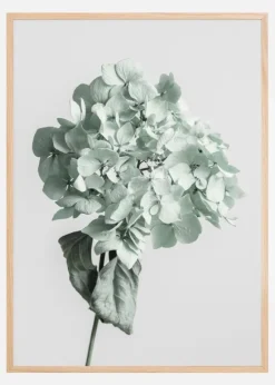 Green Dried Flower Plakat (21x29.7 cm (A4))