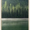 Green Forest Plakat (21x29.7 cm (A4))