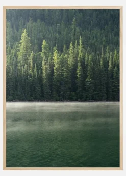 Green Forest Plakat (21x29.7 cm (A4))