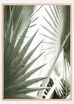 Green Leaves Plakat (21x29.7 cm (A4))