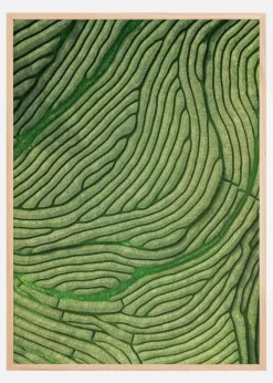 Green lines Plakat (21x29.7 cm (A4))