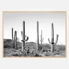 Grey Cactus Land Plakat (21x29.7 cm (A4))