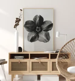 Grey Flower III Plakat (21x29.7 cm (A4))