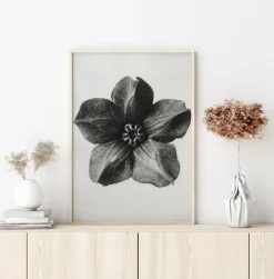 Grey Flower III Plakat (21x29.7 cm (A4))