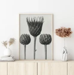 Grey Flower IV Plakat (21x29.7 cm (A4))