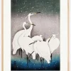 Group Of Egrets Plakat (21x29.7 cm (A4))