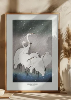 Group Of Egrets Plakat (21x29.7 cm (A4))