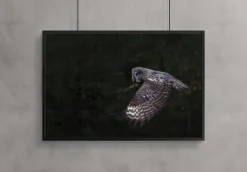 Guardian of the forest Plakat (21x29.7 cm (A4))