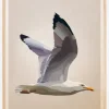 Gull Plakat (21x29.7 cm (A4))