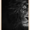 Half Lion Plakat (21x29.7 cm (A4))