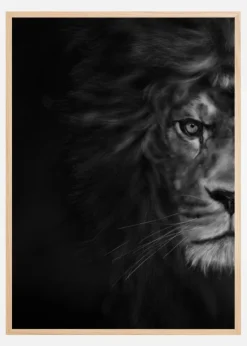 Half Lion Plakat (21x29.7 cm (A4))