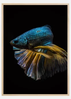 Half turn Plakat (21x29.7 cm (A4))