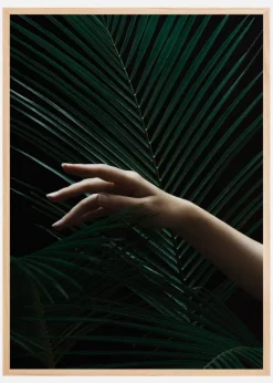 Handing a leaf Plakat (21x29.7 cm (A4))