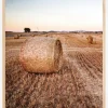 Hay Fields Plakat (21x29.7 cm (A4))