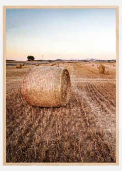 Hay Fields Plakat (21x29.7 cm (A4))