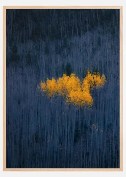 Heart of Aspens Plakat (21x29.7 cm (A4))