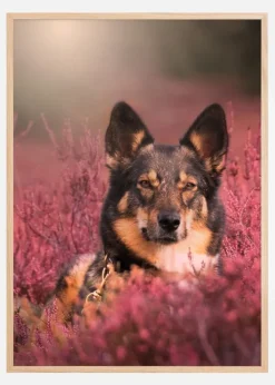 Hello Dog Plakat (21x29.7 cm (A4))