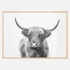 Highland Bull Plakat (21x29.7 cm (A4))