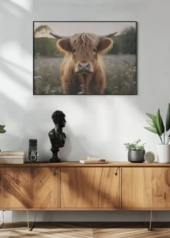 Highland Cow Plakat (21x29.7 cm (A4))