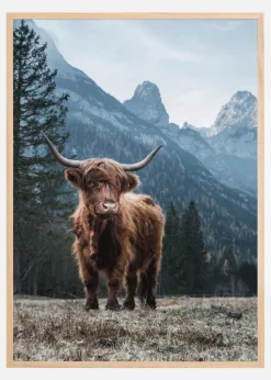 Highland Plakat (21x29.7 cm (A4))