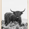 Highlander BW Plakat (21x29.7 cm (A4))