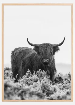 Highlander BW Plakat (21x29.7 cm (A4))