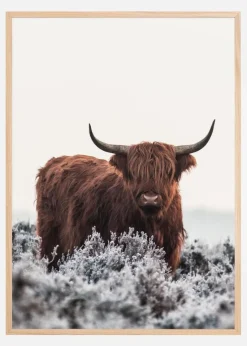 Highlander Plakat (21x29.7 cm (A4))