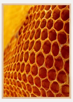 Honey Plakat (21x29.7 cm (A4))