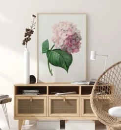 Hydrangea Macrophylla Plakat (21x29.7 cm (A4))