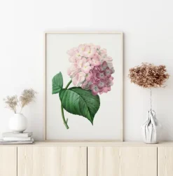 Hydrangea Macrophylla Plakat (21x29.7 cm (A4))
