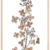Hydrangea Paniculata Plakat (21x29.7 cm (A4))