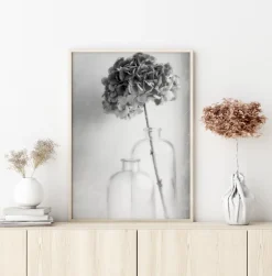 Hydrangea Plakat (21x29.7 cm (A4))