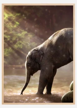 I Got Your Back Plakat (21x29.7 cm (A4))