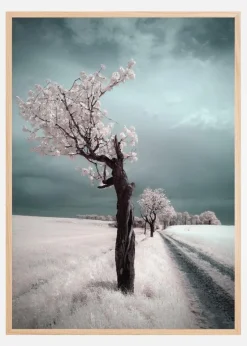 Irenka Plakat (21x29.7 cm (A4))