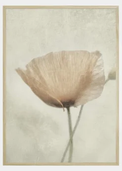 Jewel Of Nature Plakat (21x29.7 cm (A4))