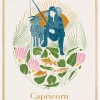 Jlr Capricorn Copy Plakat (21x29.7 cm (A4))