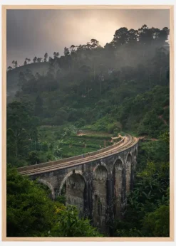 Jungle train rails Plakat (21x29.7 cm (A4))