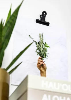 KAILA Poster Clip Black - 75 mm