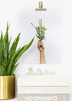 KAILA Poster Clip Silver 50 mm - 2-p