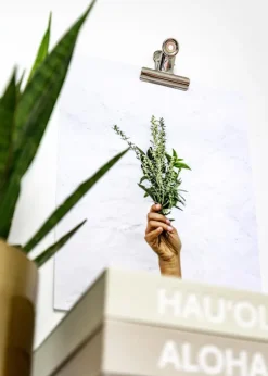 KAILA Poster Clip Silver - 75 mm