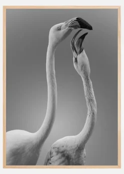 Kiss Of Life Plakat (21x29.7 cm (A4))